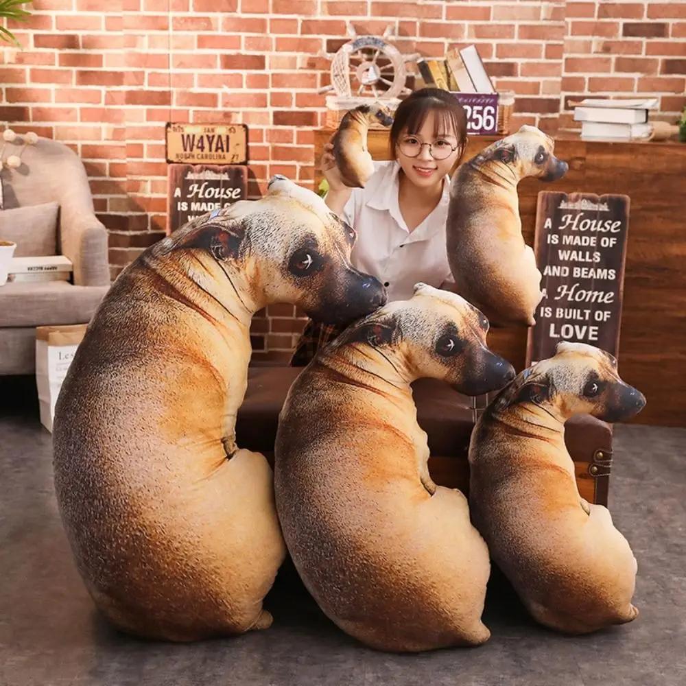 https://ae-pic-a1.aliexpress-media.com/kf/S1ef66782295640a1988da81fcbe6da03t.jpg
