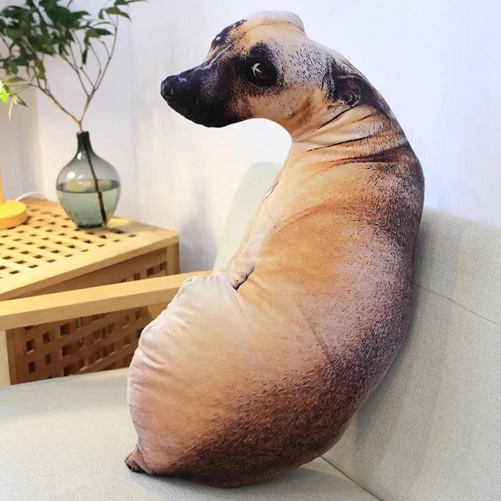 https://ae-pic-a1.aliexpress-media.com/kf/Sfdc73ff9d7774f85a417497637750b50X.jpg